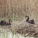 这个世界，总有一个人一直默默爱着你