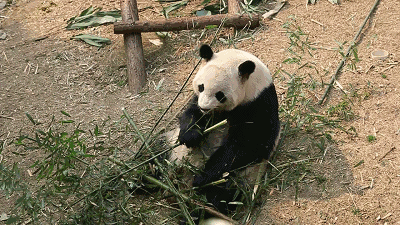 世界观崩塌了,一直认识的“她”竟是“他”……