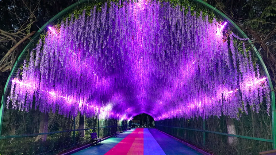 这个夏天,想和你夜游动物园