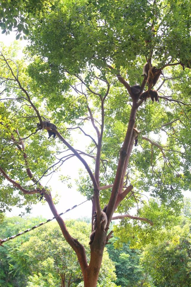 夏日如何pā pā pā最凉快?