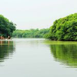 5、内城河（桥）