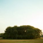 6、头墩、肚墩、脚墩