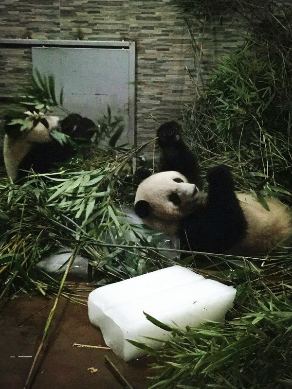 点击查看原图