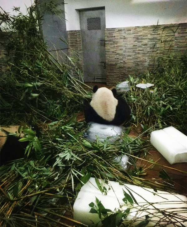 点击查看原图