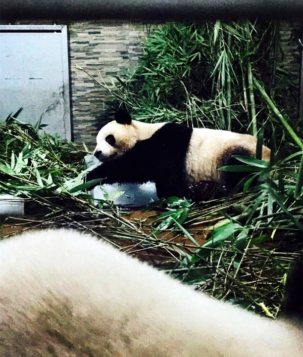 点击查看原图