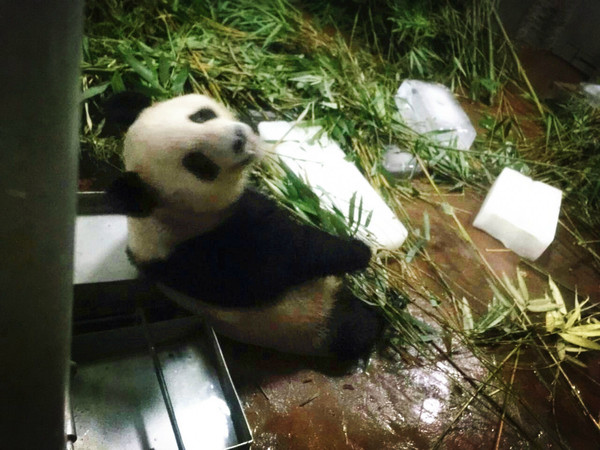 点击查看原图