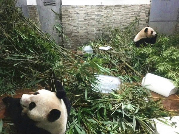点击查看原图