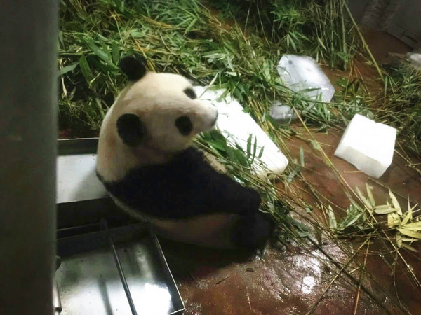 点击查看原图