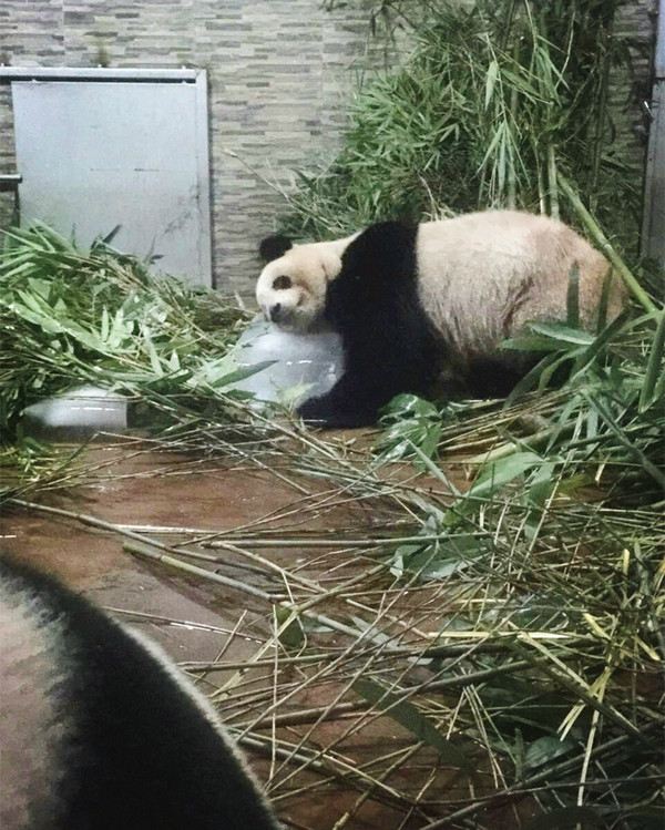 点击查看原图