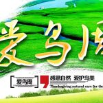 爱鸟周|关爱鸟类，从你我做起！