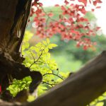 立秋以一场“躁动”音乐节告别今年盛夏