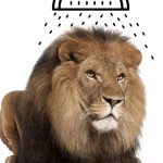 没点想象力一般人还真理解不了这些图！