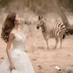 免费约pai啦！值得回味一生的动物主题婚纱照拍摄之旅等你来！