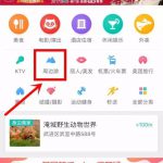 百张门票9.9元起限时秒杀，让你一次“杀”个够！