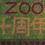 江苏淹城野生动物世界十岁了！风雨同舟，感恩有你！