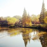 秋分丨踏秋的开始，一叶知秋岁月悠悠