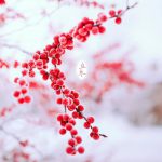 今日立冬 你感受到冬天的气息了吗？