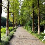 立冬不猫冬丨春秋淹城旅游区第四届健步走比赛圆满举办