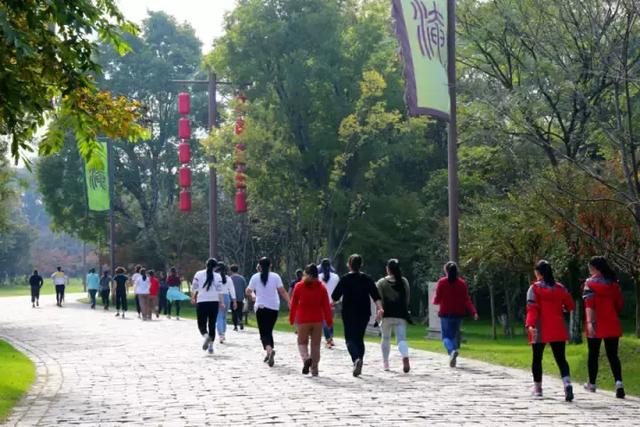 立冬不猫冬丨春秋淹城旅游区第四届健步走比赛圆满举办