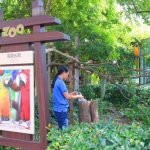 别以为它们就是“花瓶”，小身材大能量，它们远比你想象的厉害！