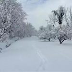 三九隆冬不惧冷，淹城“晒雪”活动火热投票中