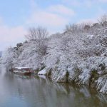 不用怀疑！让你忘记寒冷的雪国风光就在春秋淹城