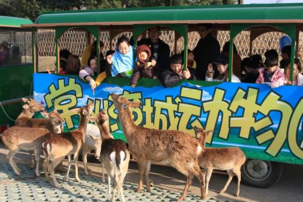 攻略 | “春春欲动”出游季,常州淹城动物园不二之选!