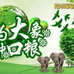 植树添绿拥抱春天，共同牵手为非洲象种口粮！