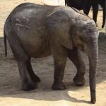 为了给这一群吃货起名字，他们的家长真是费尽了心思！