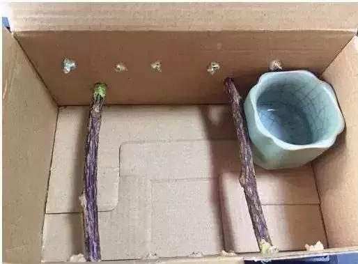 想救TA们?事实告诉你,别轻易爱心泛滥!