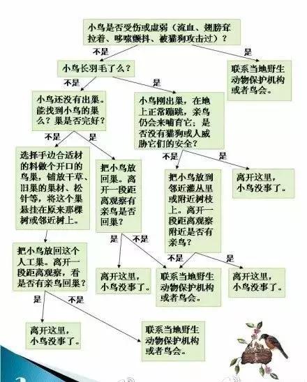 想救TA们?事实告诉你,别轻易爱心泛滥!
