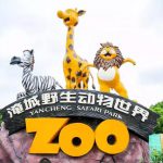 重要节日活动必去打卡点，现场一手高清大片流出……