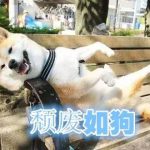 滴~~打卡，暑假都要溜走了，你还不来？