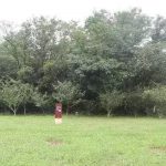 “一回走千年，春秋看淹城”——淹城十大传说（三）