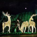 【三重福利！重磅来袭~】第二波拼团活动双重惊喜丨0元砍价！