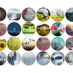 过了个年，雨水当道，太阳已流浪