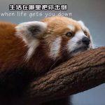 即使生活很丧 我们也该有自己的态度