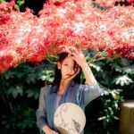 3.8仙女福利来袭！我还是很喜欢你，在樱花烂漫的春日！