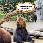 那些你没说出口的小情绪，其实我都懂