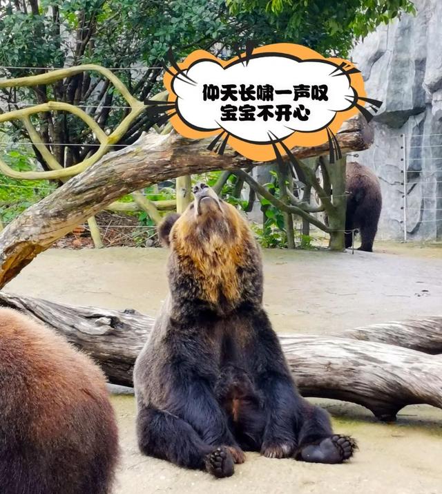 那些你没说出口的小情绪,其实我都懂