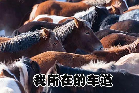 那些你没说出口的小情绪,其实我都懂