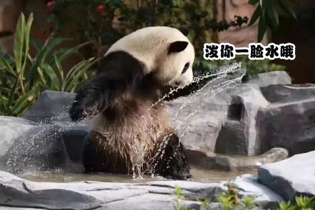 那些你没说出口的小情绪,其实我都懂