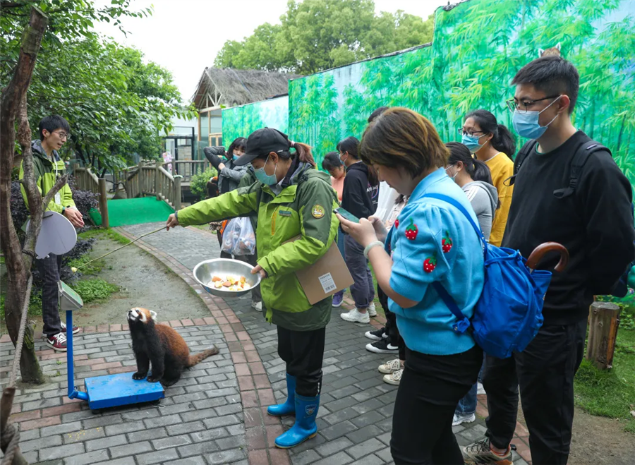 520红熊猫首次粉丝见面会圆满结束，你和爱豆“奔现”成功了吗？