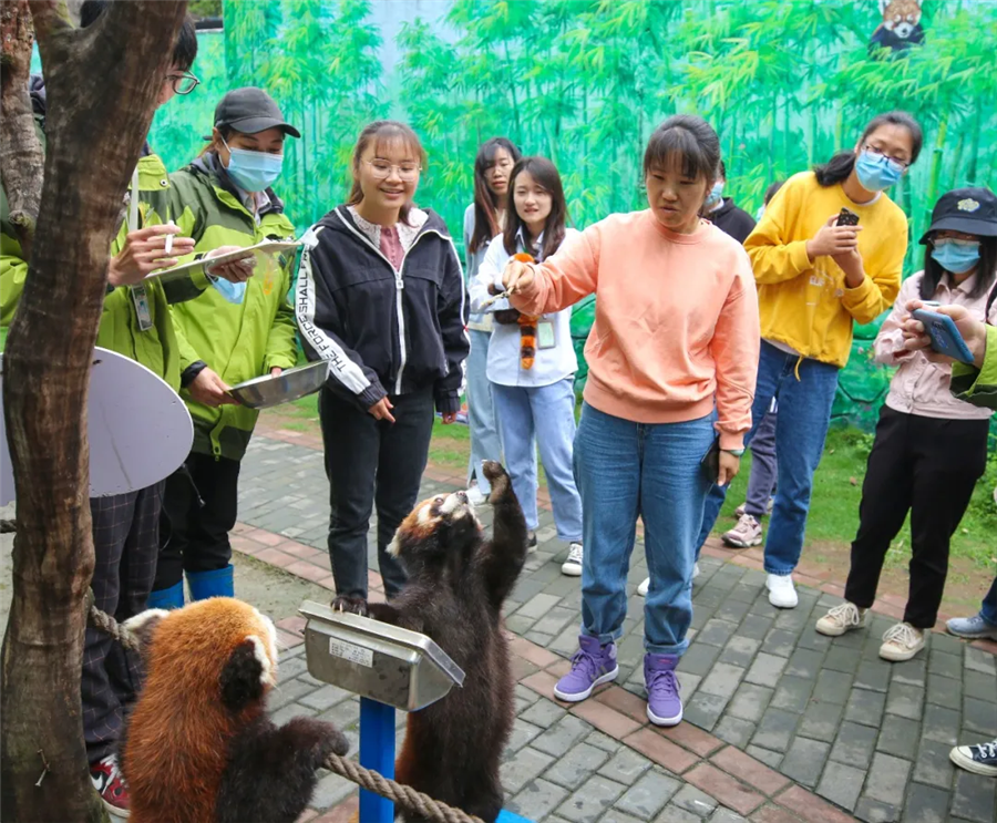 520红熊猫首次粉丝见面会圆满结束，你和爱豆“奔现”成功了吗？