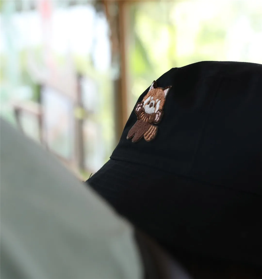 第一届红熊猫生日粉丝见面会完美落幕,生日会追星现场大曝光