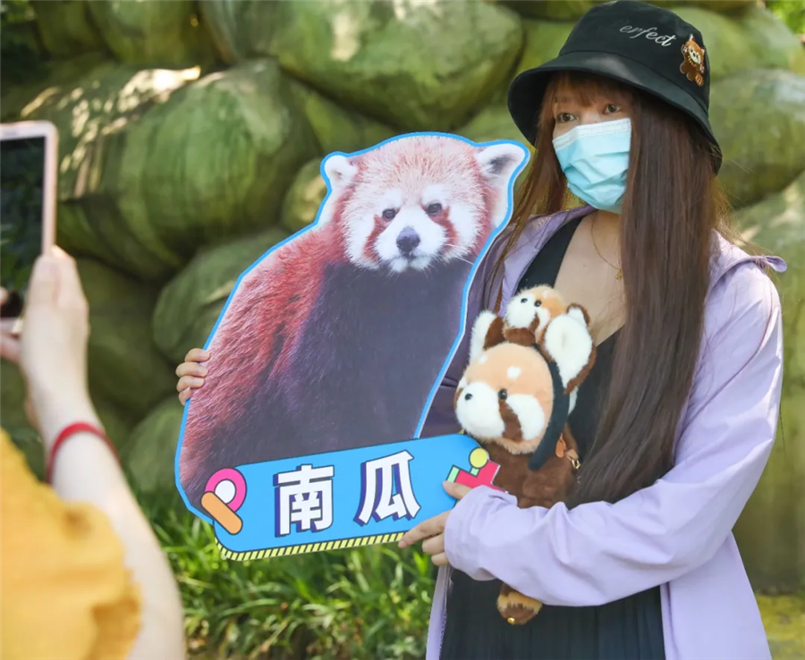 第一届红熊猫生日粉丝见面会完美落幕,生日会追星现场大曝光