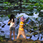 夏日拯救计划——造浪水狂欢