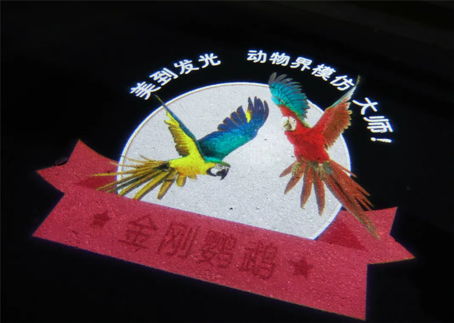 躁起来!办年卡免费游夜公园,开启欢乐夜生活