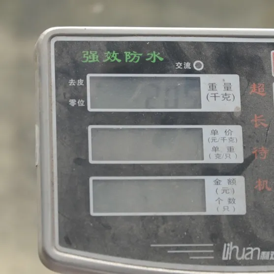 世界蛇日|双蛇共浴,“白娘子”现身