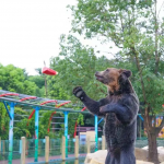 重要通知：江苏淹城野生动物世界夜公园暂停开放！